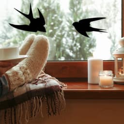 image-50% OFF - 25-Pack Black Bird Deterrent Window Decals - Anti-Collision Cling Stickers