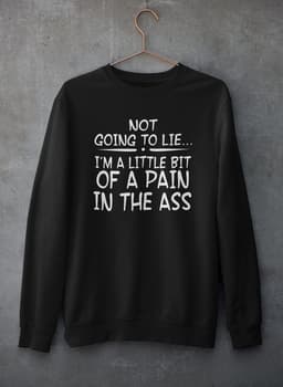 image-Not Going To Lie... Im A Little Bit Of A Pain In The Ass Sweat Shirt