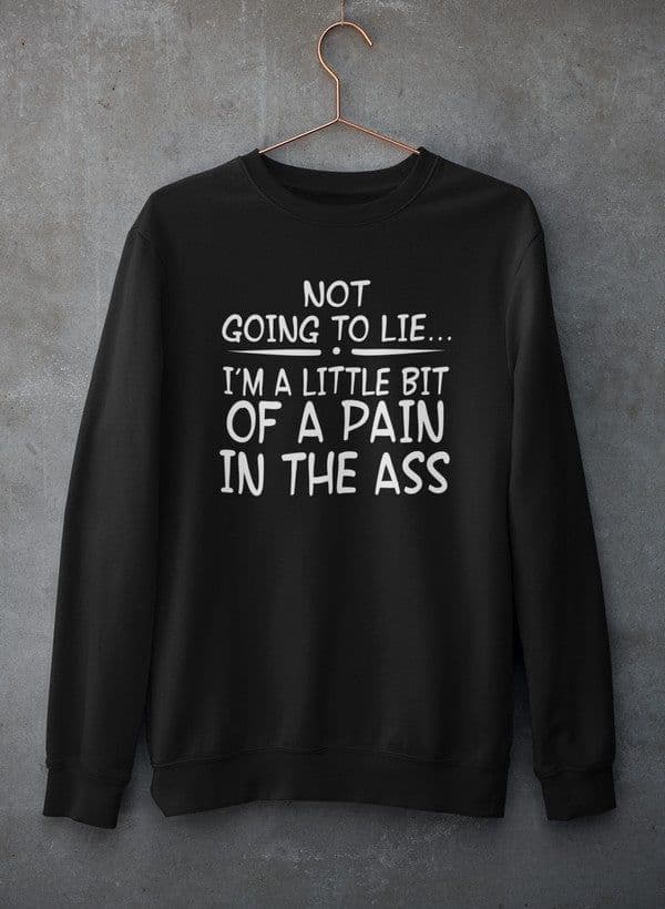 image-Not Going To Lie... Im A Little Bit Of A Pain In The Ass Sweat Shirt