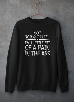 image-Not Going To Lie... Im A Little Bit Of A Pain In The Ass Sweat Shirt