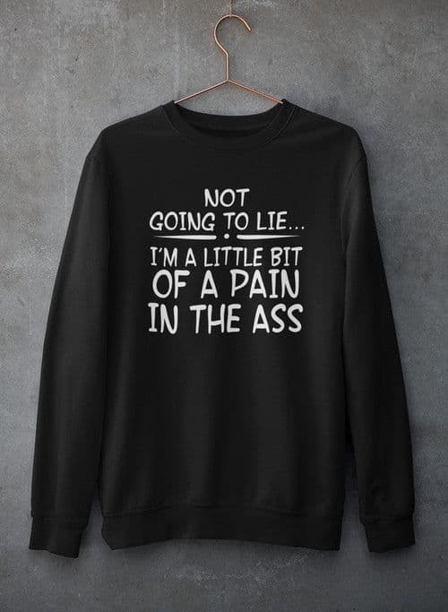 image-Not Going To Lie... Im A Little Bit Of A Pain In The Ass Sweat Shirt