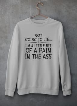 image-Not Going To Lie... Im A Little Bit Of A Pain In The Ass Sweat Shirt