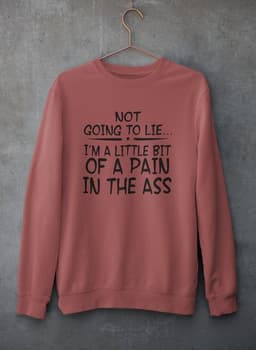image-Not Going To Lie... Im A Little Bit Of A Pain In The Ass Sweat Shirt