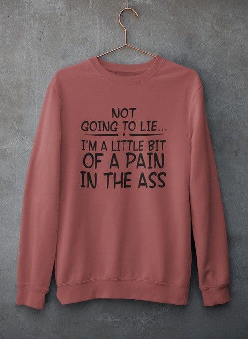 image-Not Going To Lie... Im A Little Bit Of A Pain In The Ass Sweat Shirt