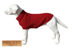 image-The Chunk Dog Jumper in Red