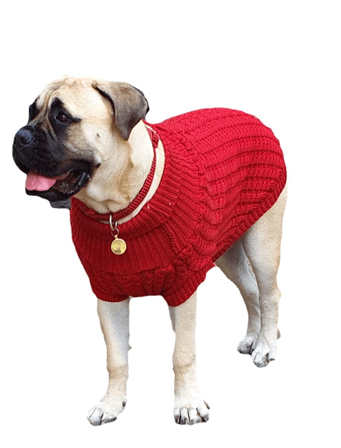 image-The Chunk Dog Jumper in Red
