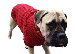 image-The Chunk Dog Jumper in Red