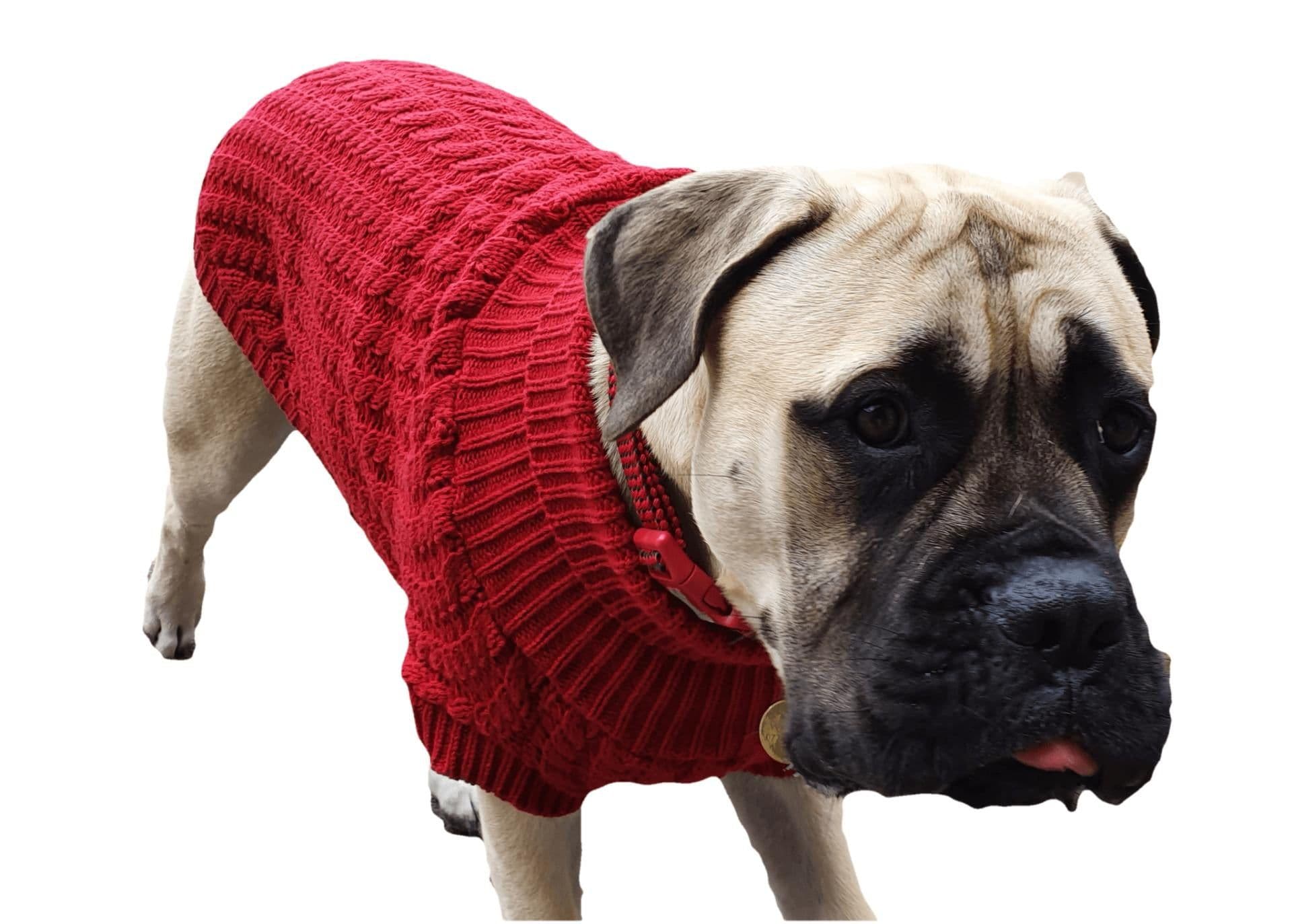 image-The Chunk Dog Jumper in Red
