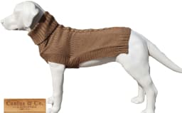 image-The Jazz Dog Jumper in Camel
