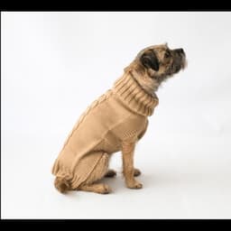 image-The Jazz Dog Jumper in Camel
