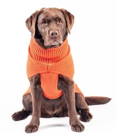 image-The Jamie Dog Jumper in Burnt Orange