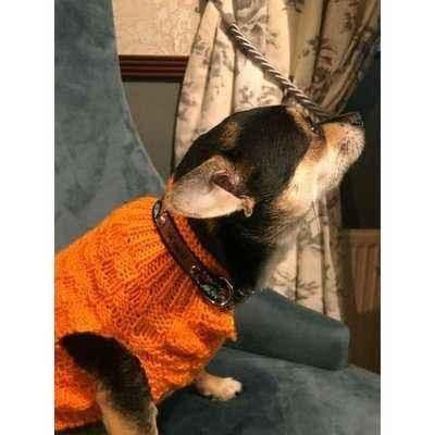 image-Wholesale Durable Designer Dog Collar No.13s