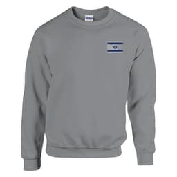image-Sweat-shirt Drapeau d'Israël en broderie