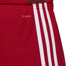 image-Adidas Tastigo 19 Shorts M DP3681 shorts