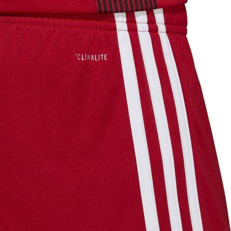 image-Adidas Tastigo 19 Shorts M DP3681 shorts