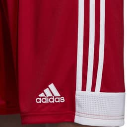 image-Adidas Tastigo 19 Shorts M DP3681 shorts