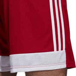 image-Adidas Tastigo 19 Shorts M DP3681 shorts