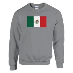 image-Sweat-shirt Drapeau du Mexique