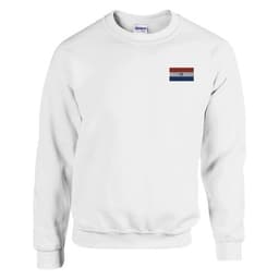 image-Sweat-shirt Drapeau du Paraguay en broderie