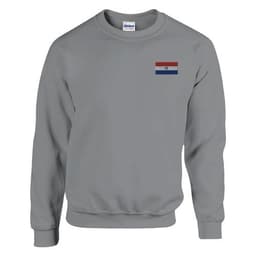 image-Sweat-shirt Drapeau du Paraguay en broderie