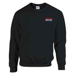 image-Sweat-shirt Drapeau du Paraguay en broderie