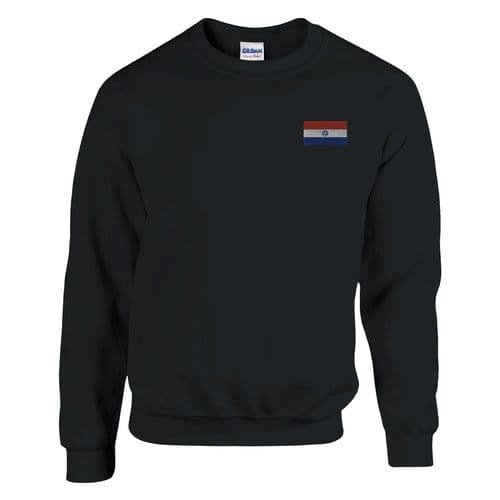 image-Sweat-shirt Drapeau du Paraguay en broderie
