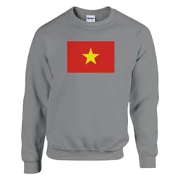 image-Sweat-shirt Drapeau du Viêt Nam