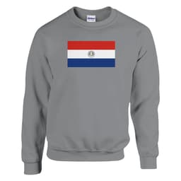 image-Sweat-shirt Drapeau du Paraguay