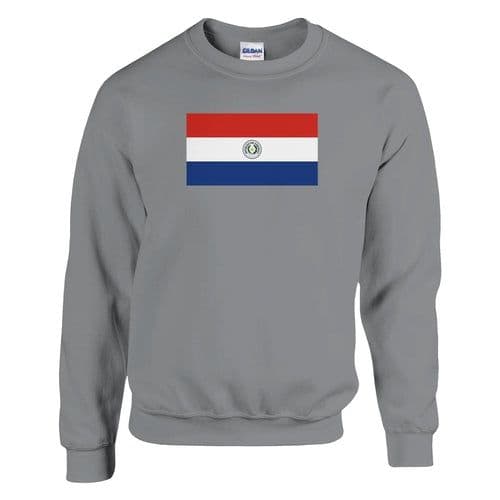 image-Sweat-shirt Drapeau du Paraguay