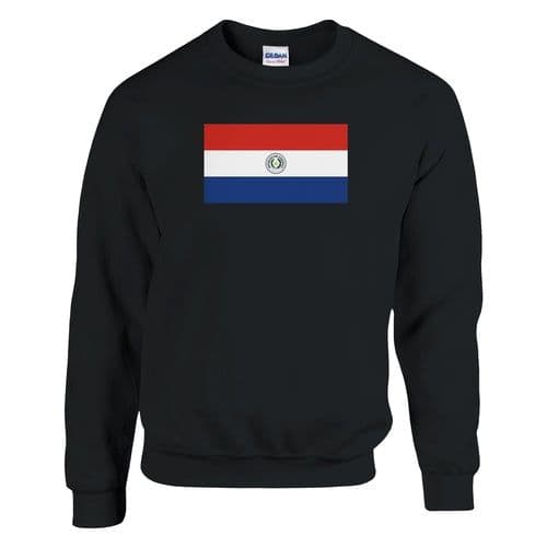 image-Sweat-shirt Drapeau du Paraguay
