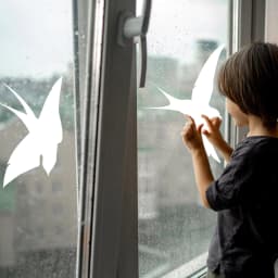 image-Anti-Collision Bird Decals - Window Stickers Effective Deterrents for Bird Strikes