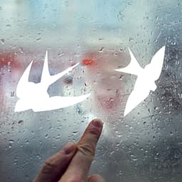 image-Anti-Collision Bird Decals - Window Stickers Effective Deterrents for Bird Strikes