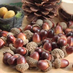 image-Fake Artificial Acorn Oak Foam Xmas Decoration