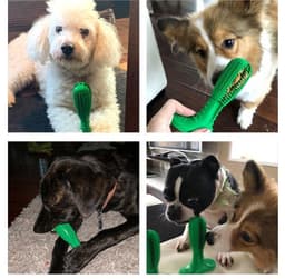 image-Natural Rubber Bite Resistant Dog Toothbrush Toy