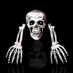 image-Halloween Party Decoration Lifelike Skull And Hand