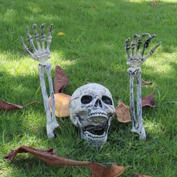 image-Halloween Party Decoration Lifelike Skull And Hand