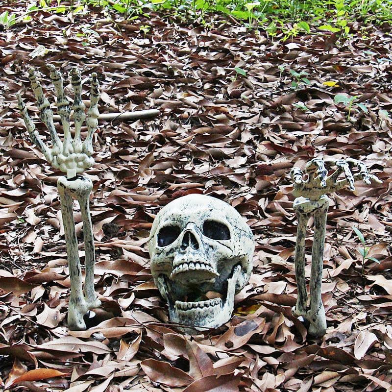 image-Halloween Party Decoration Lifelike Skull And Hand