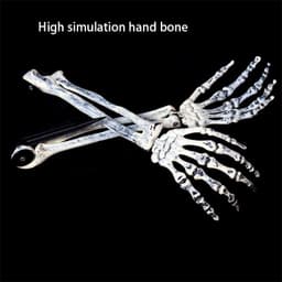 image-Halloween Party Decoration Lifelike Skull And Hand