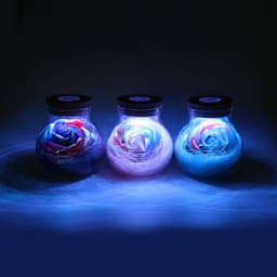 image-LED RGB Flower Lamp Desk light Xmas Gift Blue