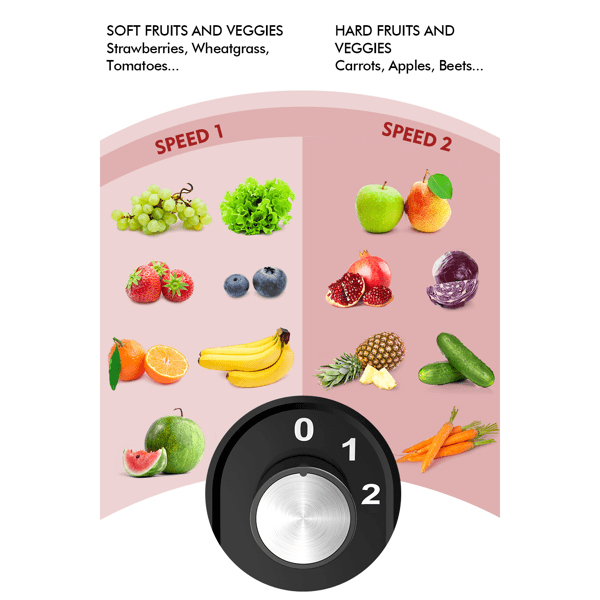 image-2 Speeds 400W Centrifugal Juicer Extractor with Wide Mouth