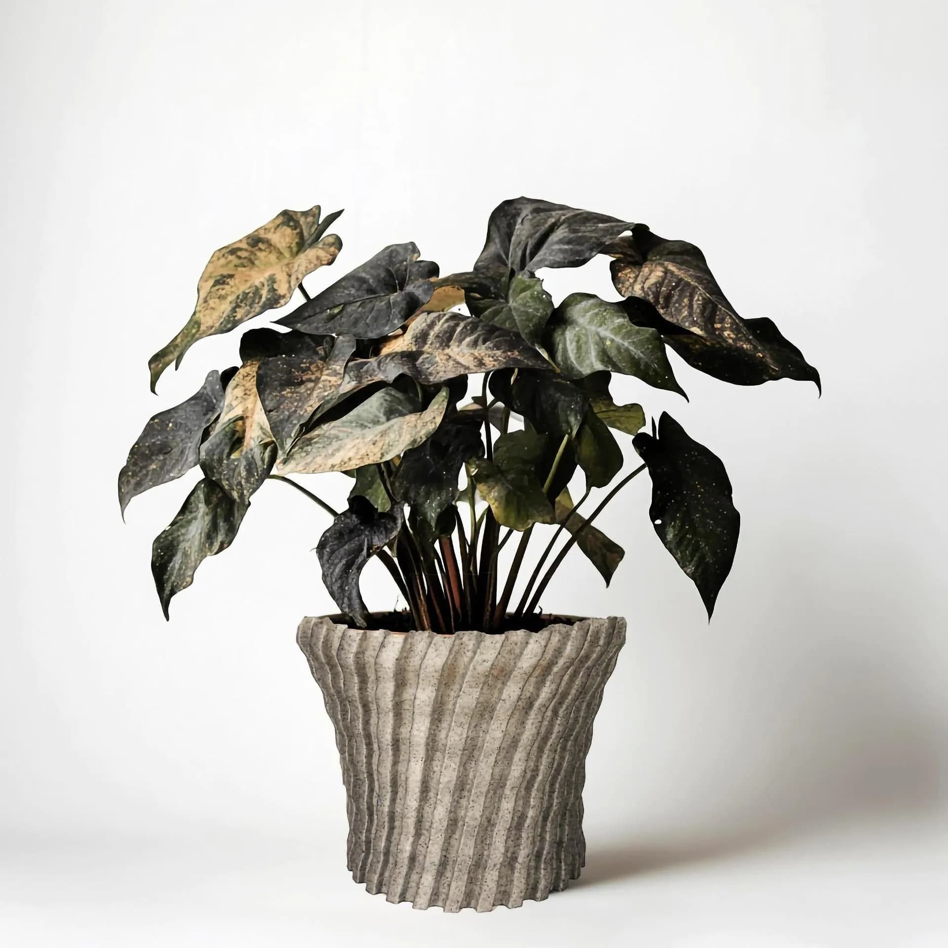 image-Modern Zig Zag Planter Cover | 3D Printed Decorative Pot Cover | Indoor Plant Pot Sleeve | Minimalist Home Decor