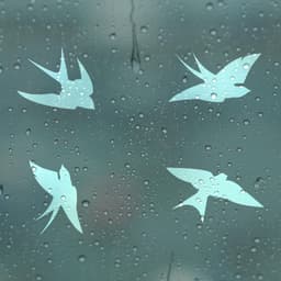 image-25x Window Decal Bird Strike Glass Anti Collision Cling Sticker - Deterrent Safety Anticollision Flying Prevent Frosted Protector Film