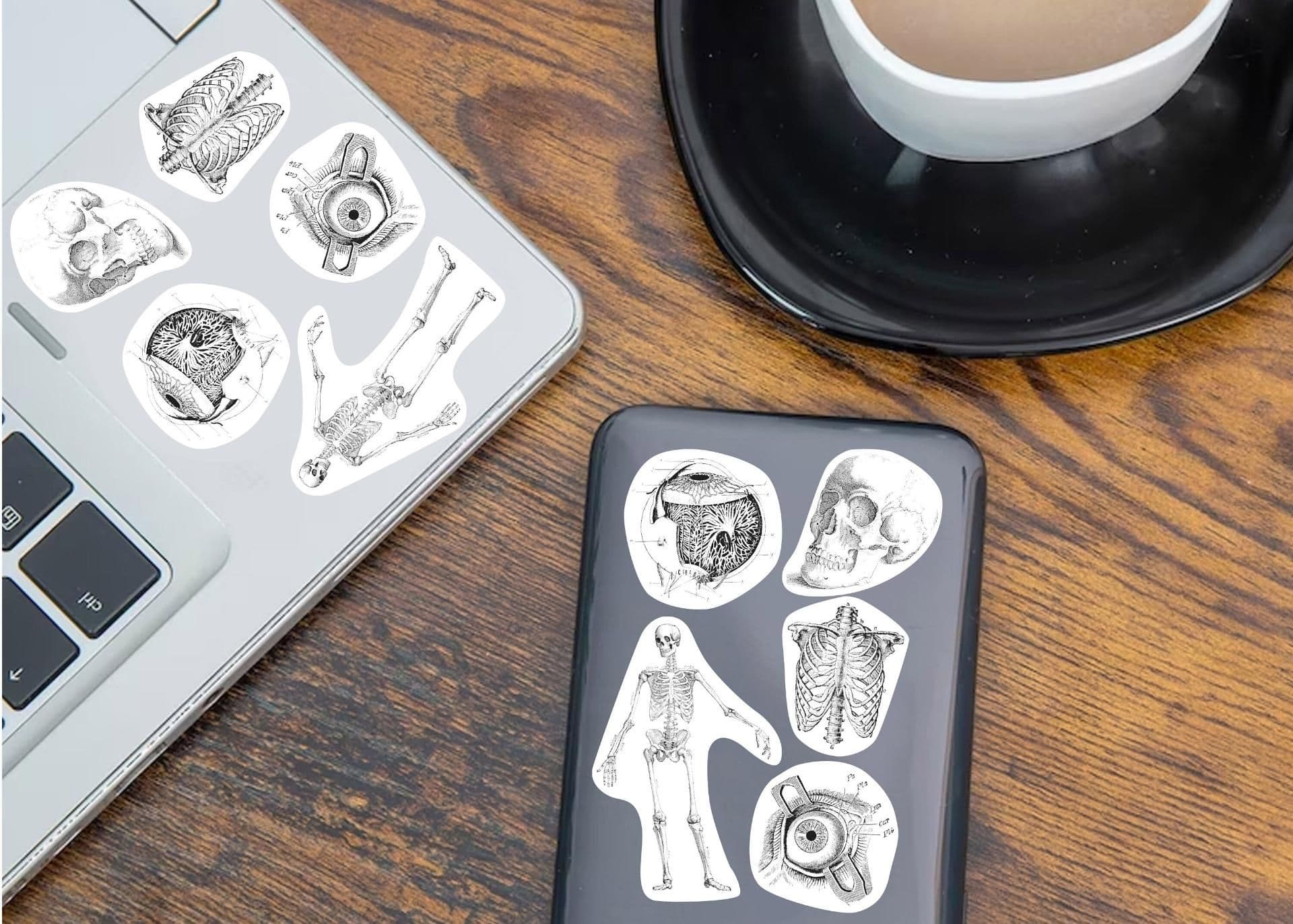image-Anatomy Stickers for Hydroflask - Anatomical Decals Gift for Doctors and Medical Students