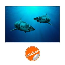 image-Wallpaper Shark Decor Sticker - 3d Underwater Ocean Wall Stickers Removable Decal