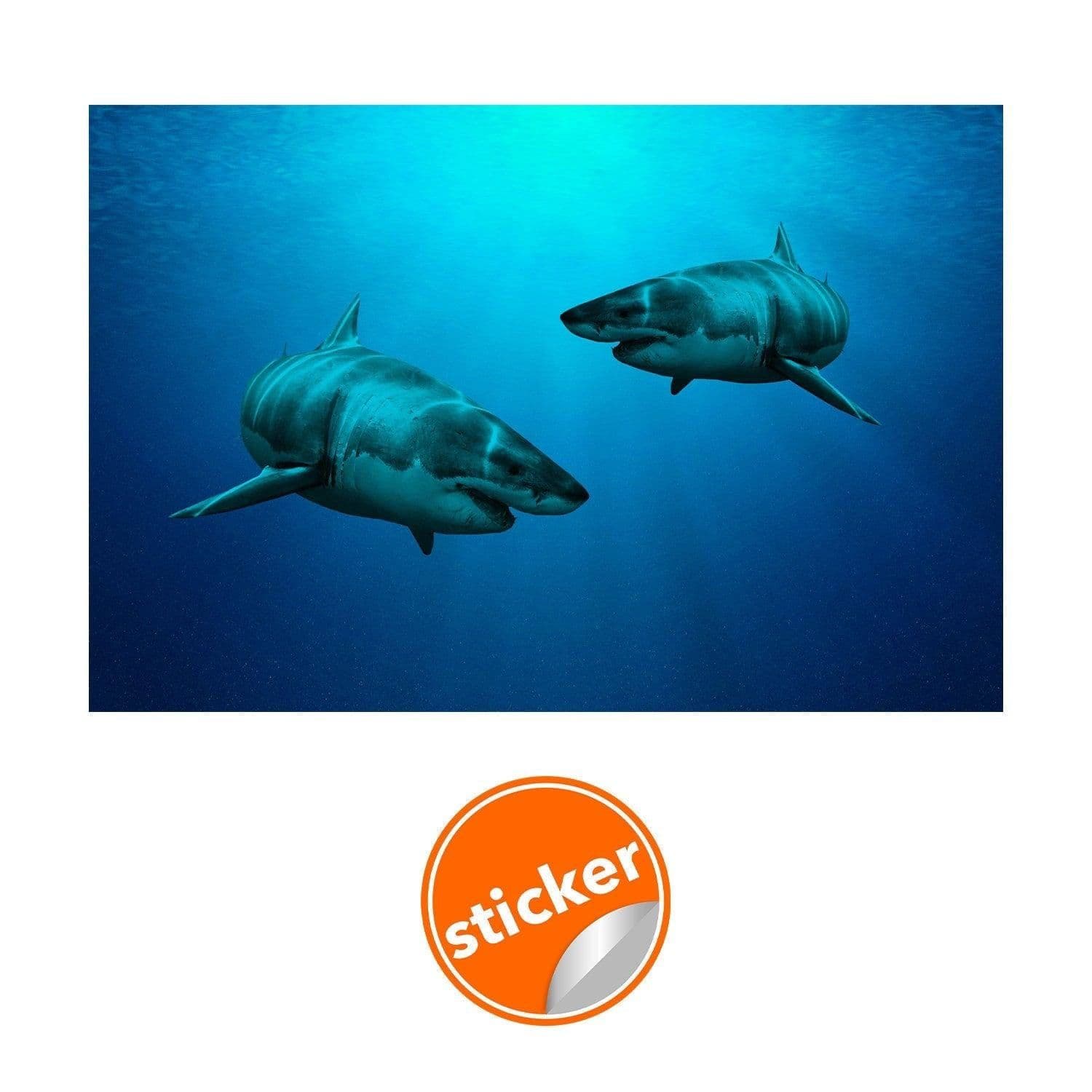 image-Wallpaper Shark Decor Sticker - 3d Underwater Ocean Wall Stickers Removable Decal