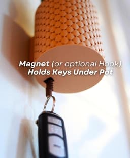 image-SpiKey Cactus Key Holder | Fun Wall Mounted Key Rack | 3D Printed Key Organizer | Unique Entryway Decor | Cool Key Storage Housewarming Gift