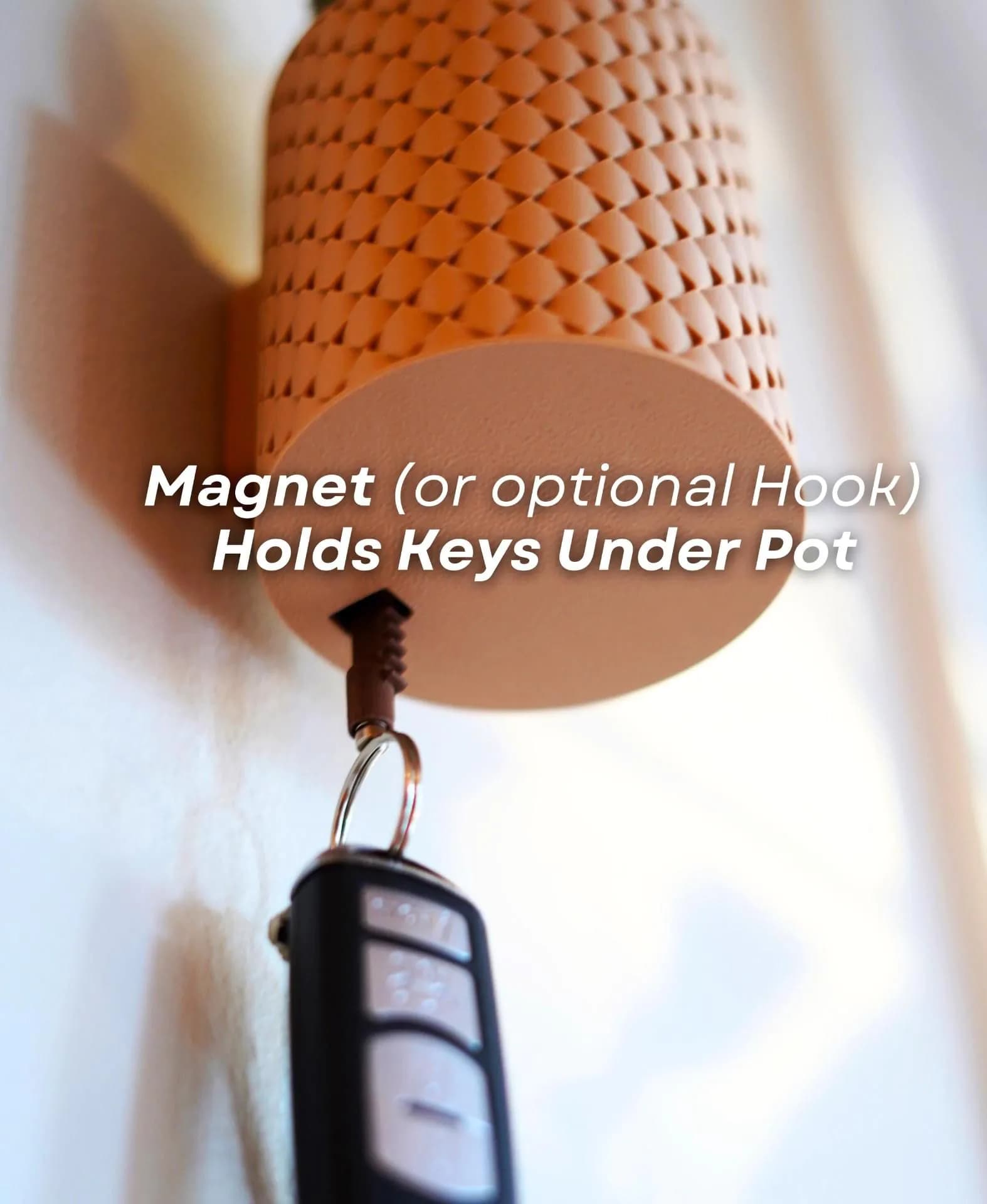 image-SpiKey Cactus Key Holder | Fun Wall Mounted Key Rack | 3D Printed Key Organizer | Unique Entryway Decor | Cool Key Storage Housewarming Gift