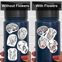 image-Anatomy Stickers for Hydroflask - Anatomical Decals for Science Lovers and Medical Students