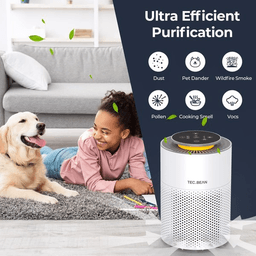 image-Air Purifiers for Home with Adjustable Night Light