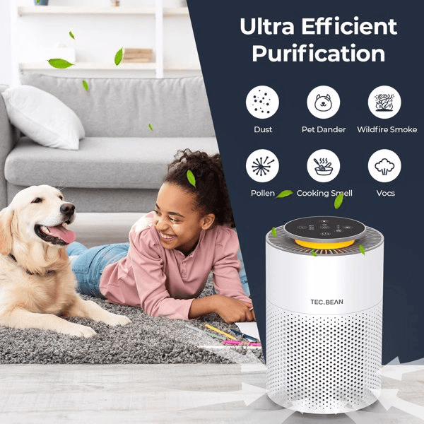 image-Air Purifiers for Home with Adjustable Night Light